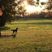 Jackie Lebbon's photo
