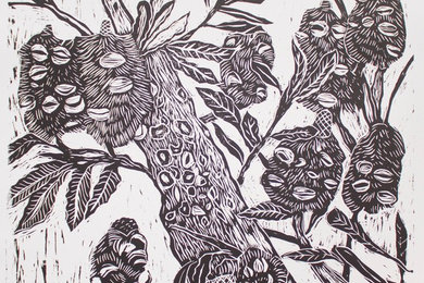 Banksia -woodcut print
