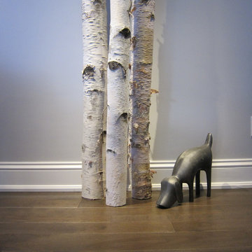 Birch trees