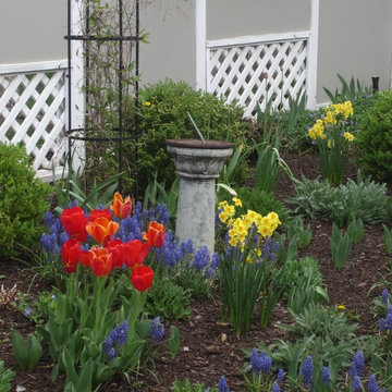Spring Gardens