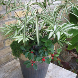 Container Gardens - Outdoor Pots And Planters