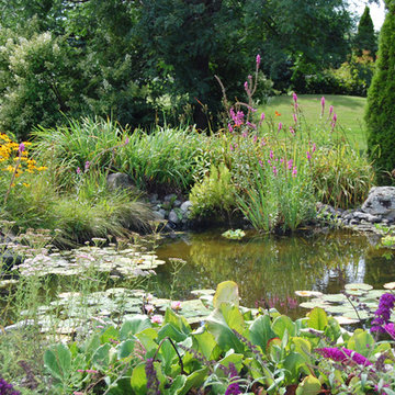 Jardin aquatique