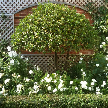 Front Gardens
