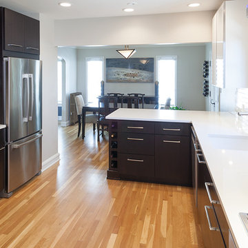 Euclid Contemporary Kitchen Renovation