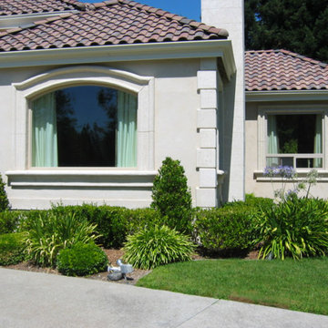 Our Work