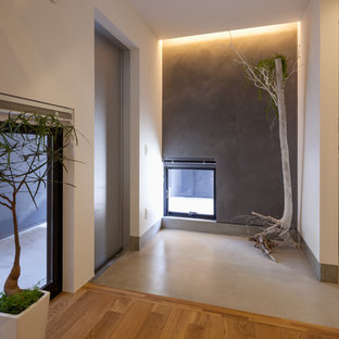 他の地域の片開きドアコンテンポラリースタイルのおしゃれな玄関ホール (マルチカラーの壁、コンクリートの床、金属製ドア、グレーの床) の写真