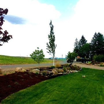 HOUZZ SUCCESS-STORY!  PLANT BARE-ROOT TREES & SHRUBS IN BEST LANDSCAPE MAKEOVERS