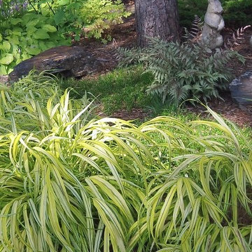 Cottage Garden in the Woods