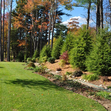 Dry Stream Beds