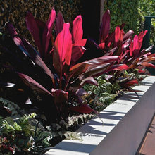Terraced garden