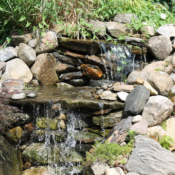Landscape Design
