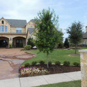 Evergreen Trees & Shrubs