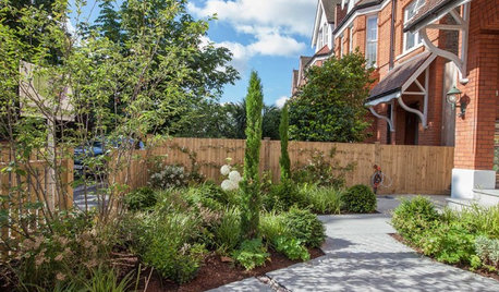 10 Questions to Ask Yourself Before Designing a Front Garden