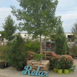 Fall Auction - Outdoor Products