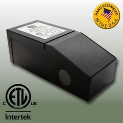 12VDC 60 Watt Magnetic LED Transformer - Light Bulbs