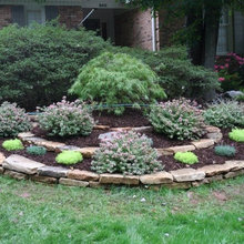New House Landscape Ideas