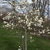 Mary Boucouvalas's photo