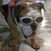 Foto de Larry Roberta
