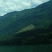 Foto von Vianne Silvey