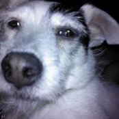 Brad Smith's photo