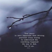 Lynn Johnson's photo