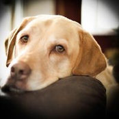 Brooke Harsh's photo