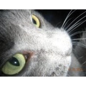 Beth Giesler's photo