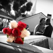 Jupiter Gardens's photo