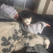 Christopher Bedard's photo