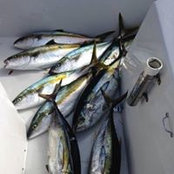 Russell Taylor's photo