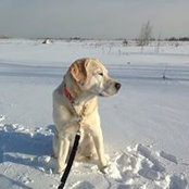 Jamie Osborne's photo