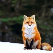 Beth Hollis's photo