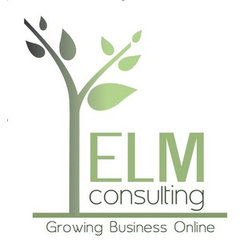 ELM Consulting