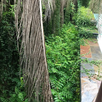 Pool / Bayou Access (Before)