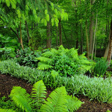 landscape design ideas