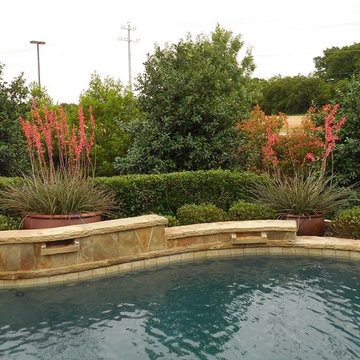 Poolside Landscapes