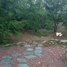 Gaile's house and yard