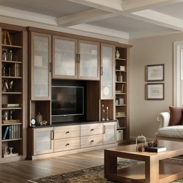 Entertainment Unit