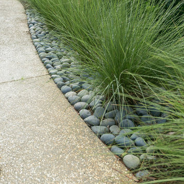 Mt. Pleasant, Backyard Upgrade