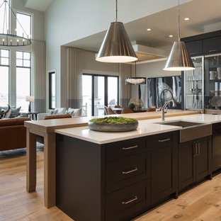 Ideas Para Cocinas Fotos De Cocinas Lineales Con Puertas De