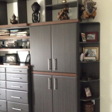 Fox Chapel Master Closet and Display Wall