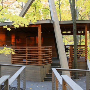 National Park Tree House