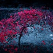 Emy Sayed's photo