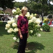 Becky Shockley's photo