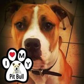 Rita Castro's photo