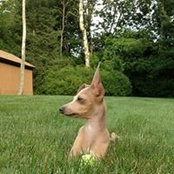 Larry Meister's photo