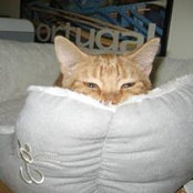 Elaine Chandler's photo