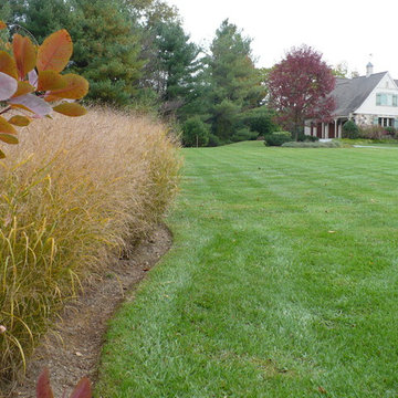 Landscape screening along a busy road