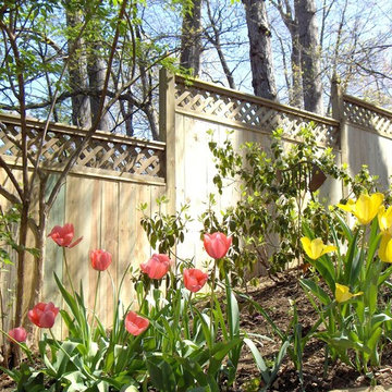 Lions Fence Contemporary And Custom Fences