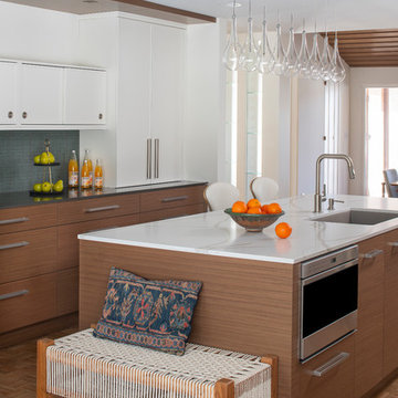 North Oaks Mid-Century Modern